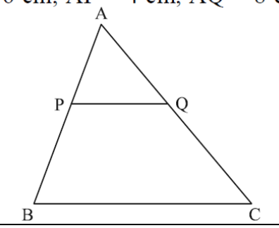 figure for this question