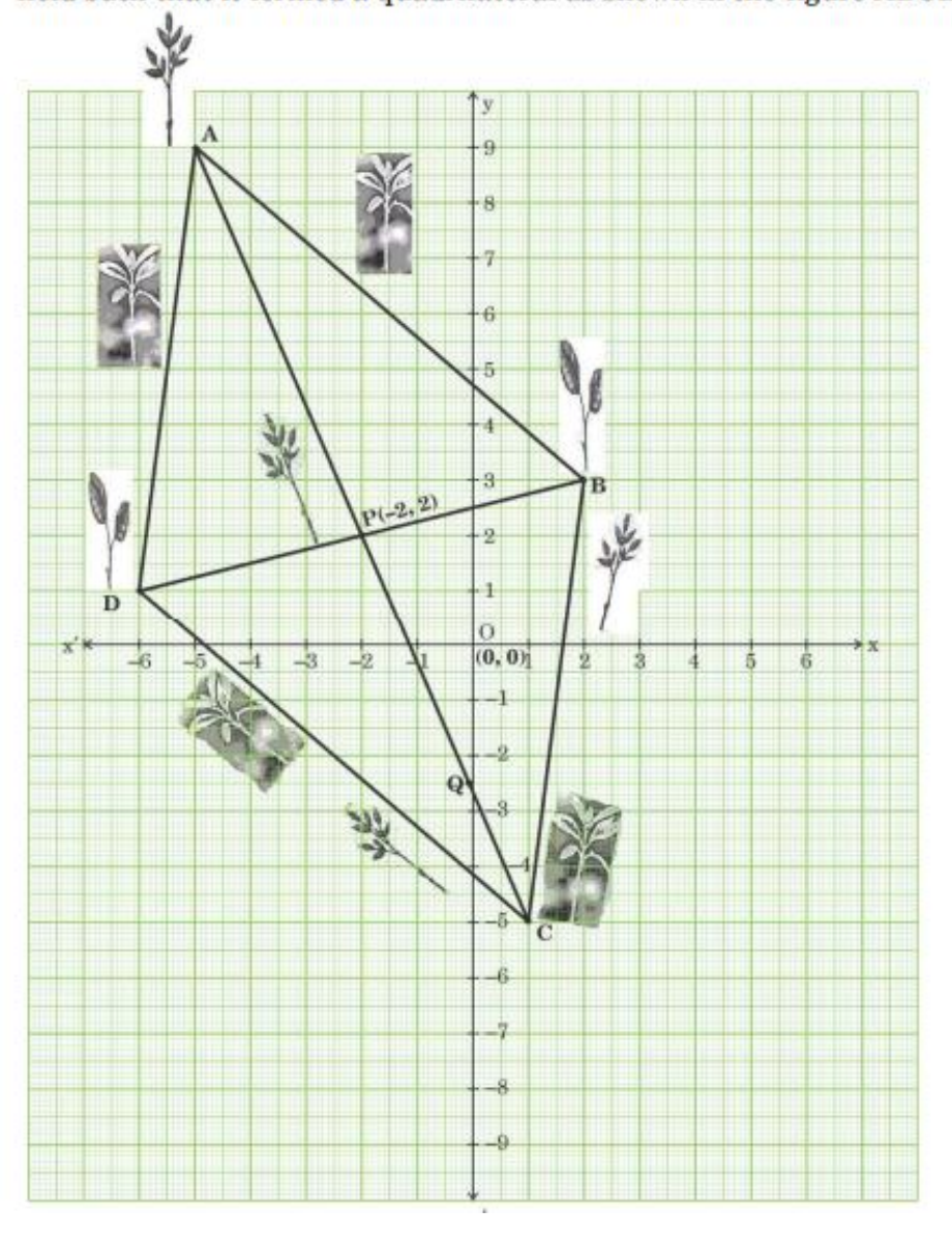 figure for this question