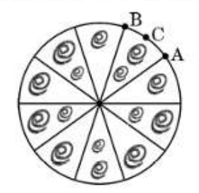 figure for this question
